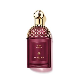Absolus Allegoria