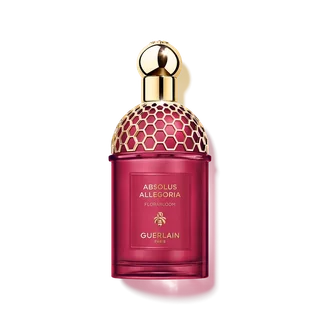 ABSOLUS ALLEGORIA