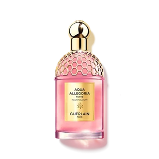 Aqua Allegoria Forte