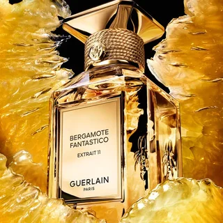 BERGAMOTE FANTASTICO EXTRAIT 11 - EXTRAIT