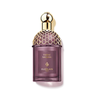 ABSOLUS ALLEGORIA